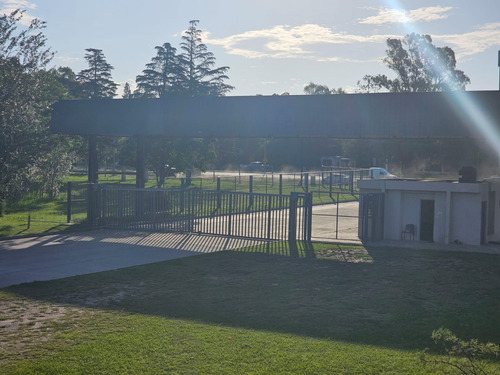 Deposito De 800 En Alq Zona Industrial Y Logistica