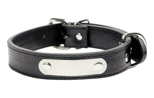 Collar Para Perros Wonder Dog Eco Cuero M