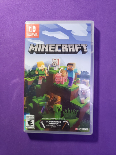 Minecraft Nintendo Switch