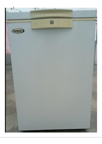 Congeladora Usada Gelator Bd(w)-100lt