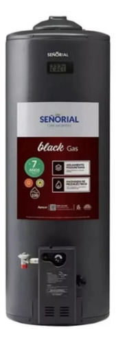 Termotanque A Gas Family Black Señorial Tsbg110 110 Lts