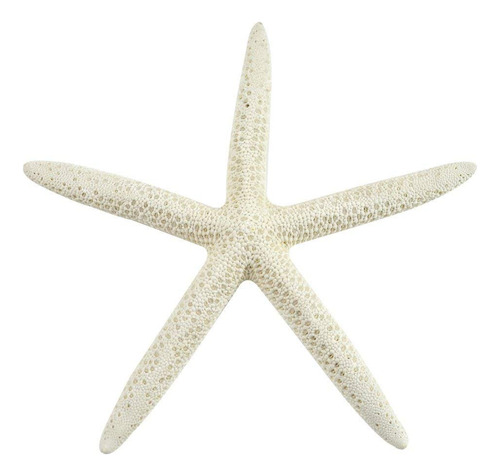 10 dedo (lapiz), Color Blanco Estrella De Mar Diferentes Tam