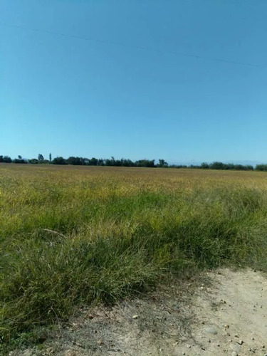 Huimeo, Longaví