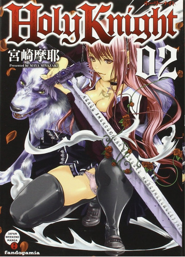 Manga Holy Knight Tomo 02 - Editorial Fandogamia