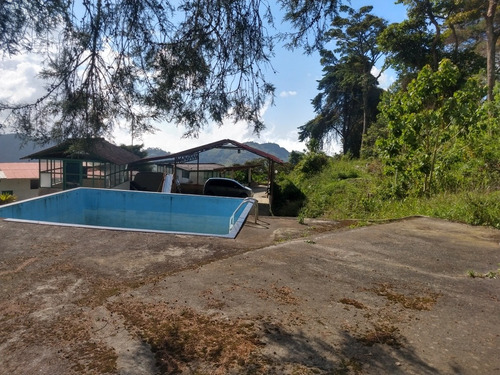 Imagen 9 de 14 de Campamento Monte Sinaí