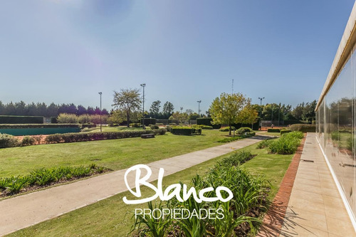 Imagen 11 de 19 de Oportunidad! Gran Lote De 1859 Metros Dentro Del Barrio Pilará - El Faetón