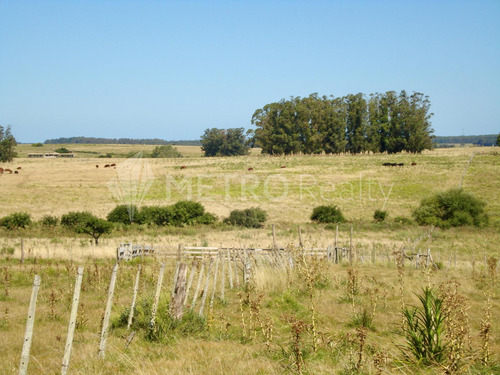 Campo En Venta En Punta Del Este - Uruguay - 14 Hectáreas