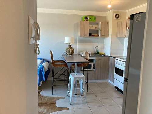 Arriendo Departamento En Concepción