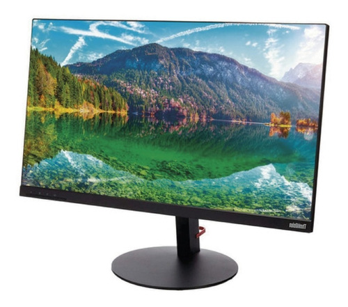 Monitor Lenovo Thinkvision T24i-10 Lcd 23.8  Negro 100v/240v (Reacondicionado)