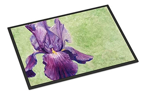 Tesoros De La Caroline Tmtr0234jmat Iris Púrpura Por Malenda