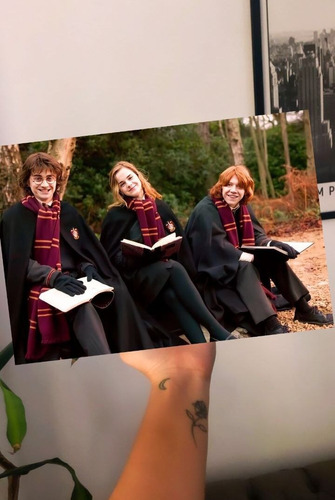 Harry Potter Ron Hermione Cuadro Varios Modelos 20x30cm