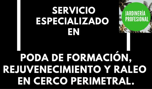 Imagen 5 de 5 de Servicio Profesional De Jardinería