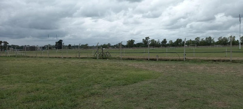 Imagen 8 de 12 de Venta-terreno -pilar- Santo Tomas-interno