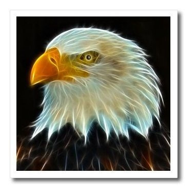 Renderly Yours Eagl  Fractal Color Descrito Aguila Calva