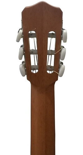 Guitarra Criolla Fonseca 25 Colores Mate Op Libertella