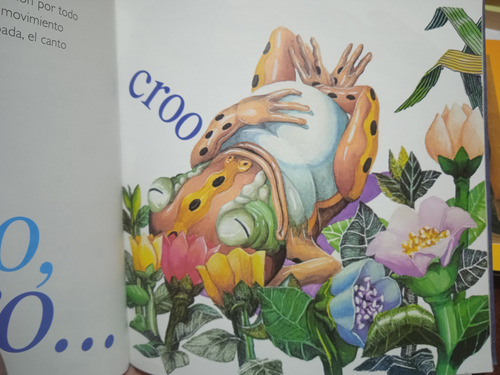 El Sapo Y Los Cocuyos (cuento Infantil) / Salvador Garmendia