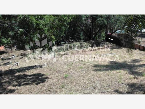 Terreno En Renta Cuernavaca Centro