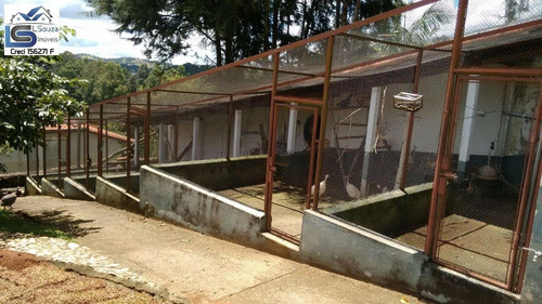 Imagem 13 de 15 de Chácara Para Venda Em Pinhalzinho, Zona Rural, 2 Dormitórios, 1 Suíte, 10 Vagas - 225_2-1186275