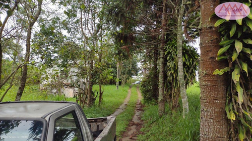 Imagem 15 de 15 de Chácara Para Venda Em Suzano, Ipelândia, 3 Dormitórios, 1 Suíte, 3 Banheiros, 1 Vaga - 0890_2022_2-1409469