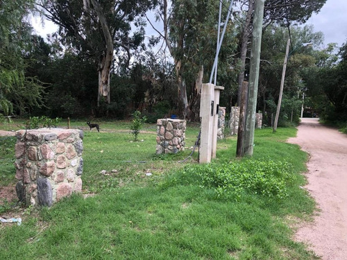Terreno 4000 M2 En Venta En Villa Elena - Cortaderas
