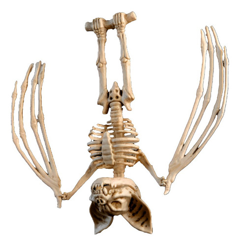 Esqueleto Murciélago 27 Cm Aprox Decoración Halloween