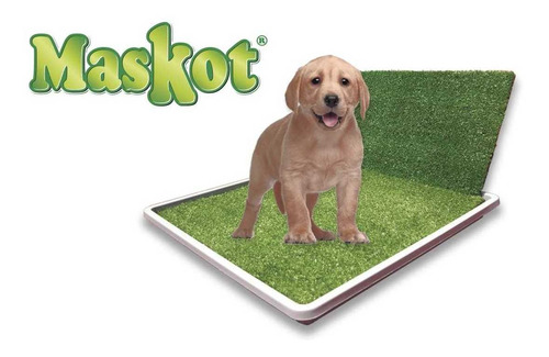 Alfombra Bandeja C/accesorio Perro Macho Totalmente Lavable!