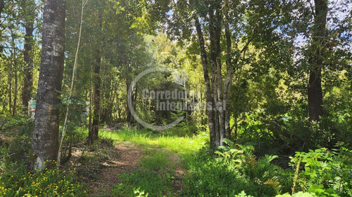 Casa En Venta De 2 Dorm. En Puerto Varas