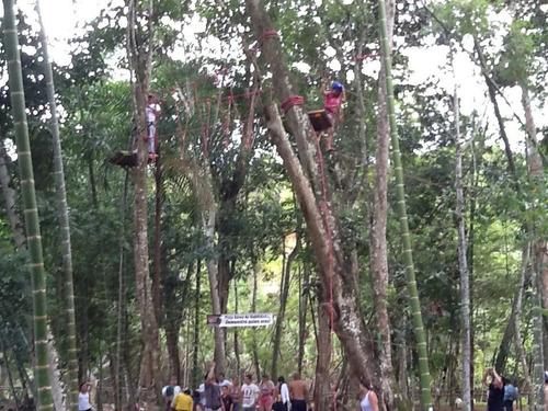 Muro De Escalada