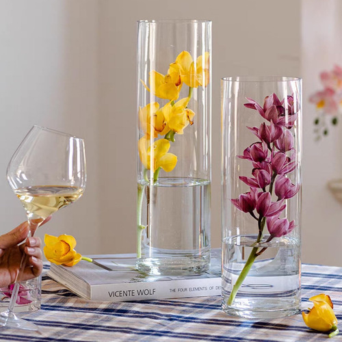Vaso De Vidro Transparente Darenyi Para Flores, Vaso De Cili