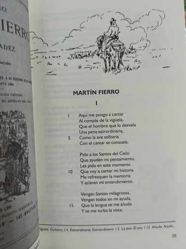 Imagen 3 de 6 de Martín Fierro - José Hernández - Con Ilustraciones Y Notas