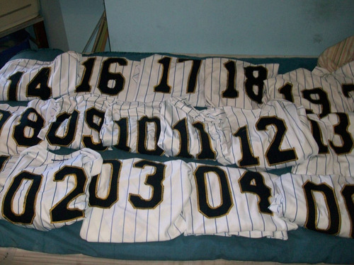 Camisa Ramate Enumerada Softball Beisbol Magallanes Lote D19