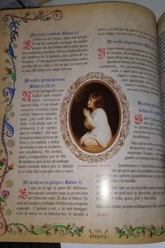 Imagen 8 de 9 de Sagrada Biblia Del Arte Edición De Lujo