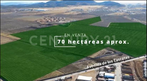 En Venta Terreno Rustico Col. Guadalupe Victoria En Cd. Cuauhtémoc, Chihuahua.