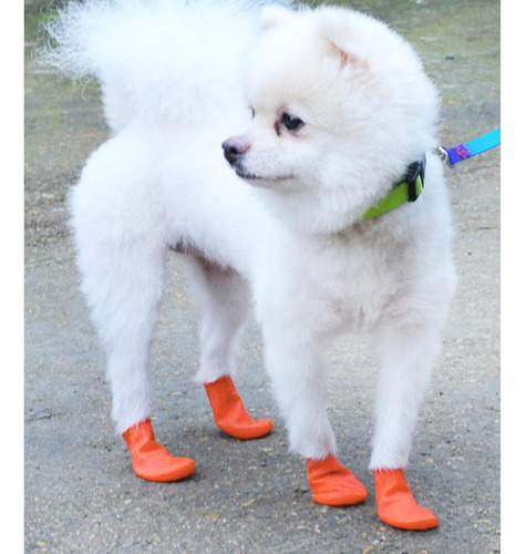 2 Botas De Lluvia Para Perros Zapatos De Nieve Impermeables