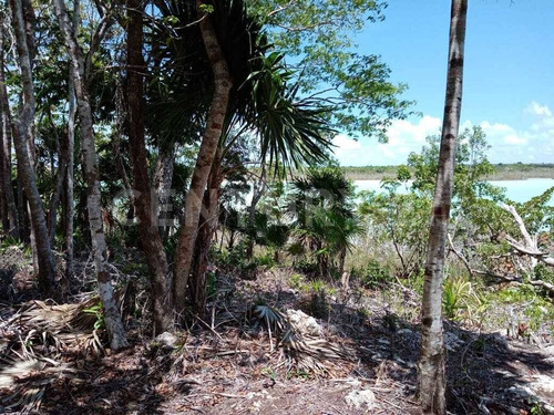 Imagen 12 de 18 de Terreno En Venta Frente A Laguna Chile Verde Cerca De Chetumal Em02021