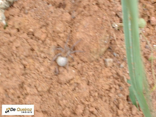 Imagem 4 de 5 de Terreno Barato Em Embu Guaçu - 0552 - 33137349