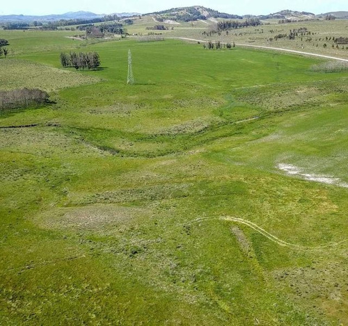 62 Hectáreas | Campo | Ruta 12 Km 14