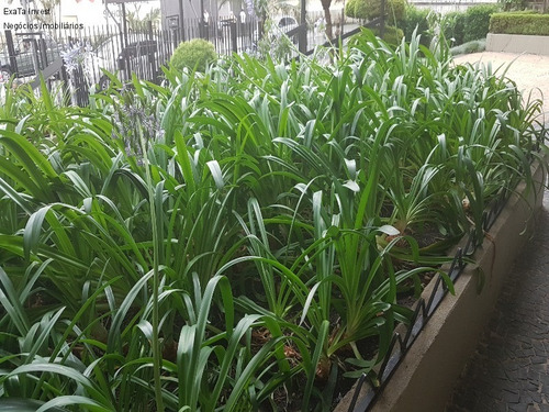 Imagem 18 de 29 de Apartamento À Venda Em Higienópolis, Lindo Apto Face Norte Em Ótima Localização, Muito Bem Distribuído, Repleto De Armários De Ótima Qualidade. Sala Para 2 Ambientes, Muito Ilumina - Ap00581 - 688754