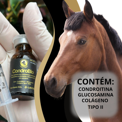 Condrobio Lavizoo 10ml Recuperação Articular Equinos Atletas