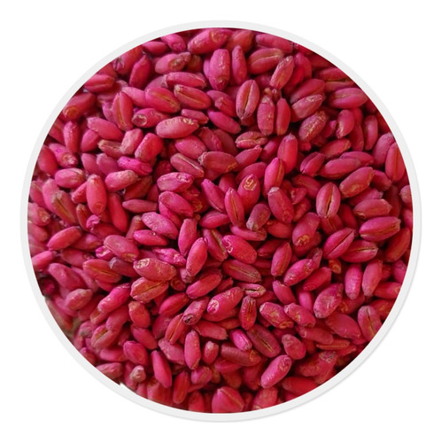 Semilla De Trigo Var. Valles (20 Kg)