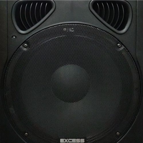 Imagen 4 de 7 de Bafle Potenciado Excess 2 Vias Usb Sd Mic Exc1515 Premium