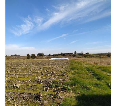 Vendo Excelente Campo Agrícola Con Tajamares Para Riego Y 2 Pozos Para Riego De 40.000 L/h Riego Instalado En Todo El Campo