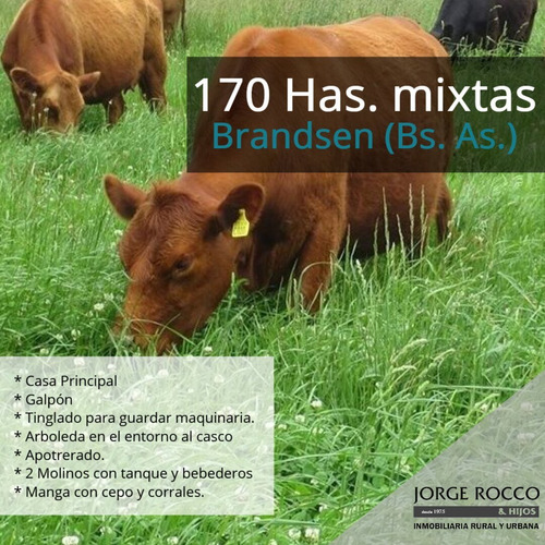 Campo En Venta En Brandsen. 170 Has Mixto