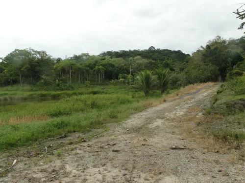 Sítio De 49,7 Hectares Registro - Sp