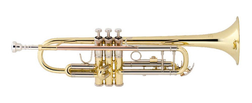 Trompeta Para Estudiante Bach Tr650.