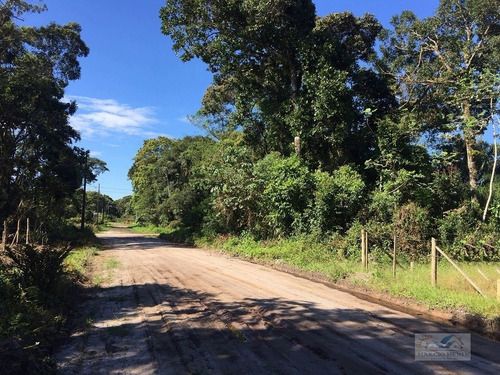 Imagem 3 de 5 de Terreno Lote Para Venda Em Brandalize (pontal) Itapoá-sc - 540