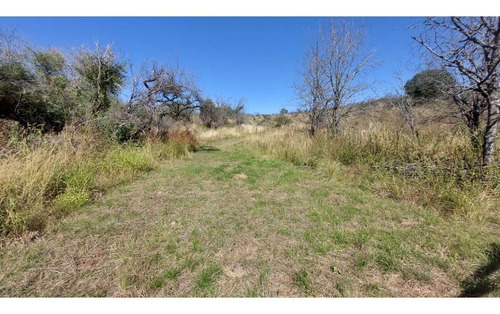 Imagen 2 de 5 de Fracción De 4.1 Ha En Falda Del Carmen. Lote N° 7