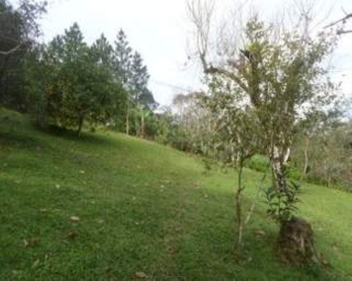Chacara - 03407 - 33228877