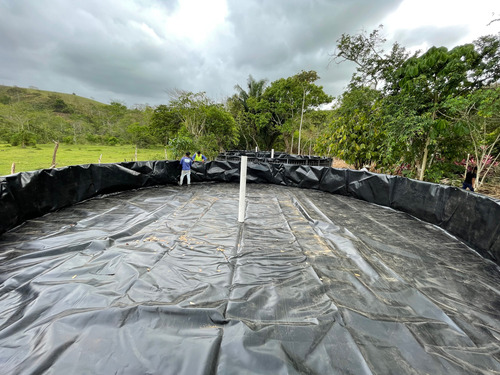 Estanque De Geomembrana Hdpe 6m. Acuicultura, Tilapia.