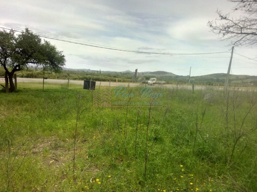 Imagen 10 de 13 de Chacra A 15 Minutos Punta Ballena. - Maldonado